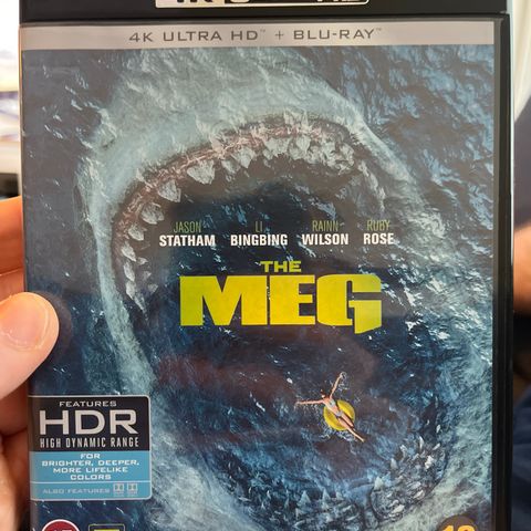 The meg 4k