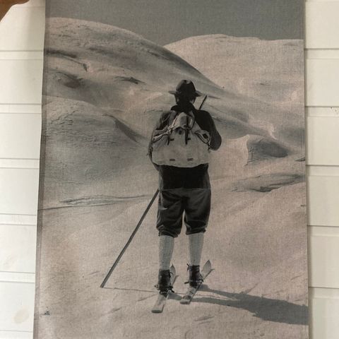 Bilde/plansje - mann på ski
