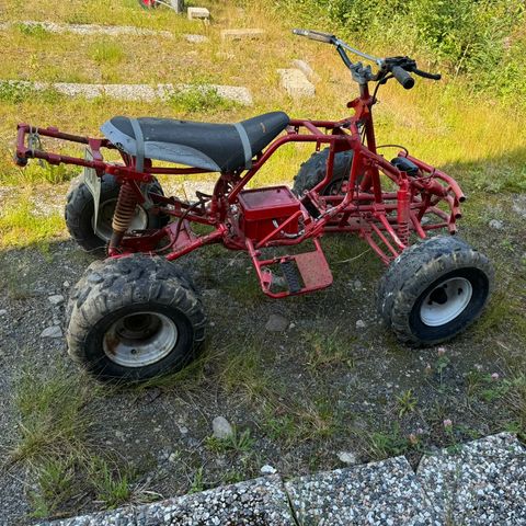 ATV Tralle, hundetrening