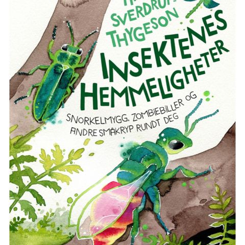 Insektenes Hemmeligheter - ny bok