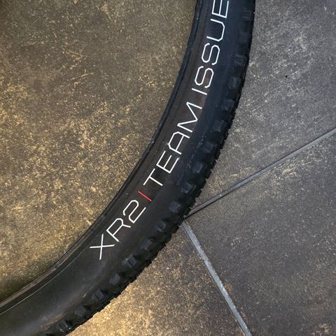 Bontrager XR2 Team Issue 29" Dekk