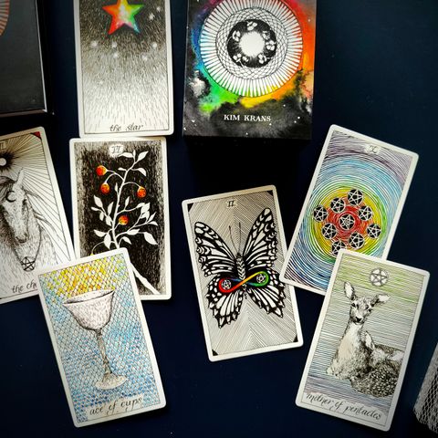 The Wild Unknown Tarotkort & Guidebook