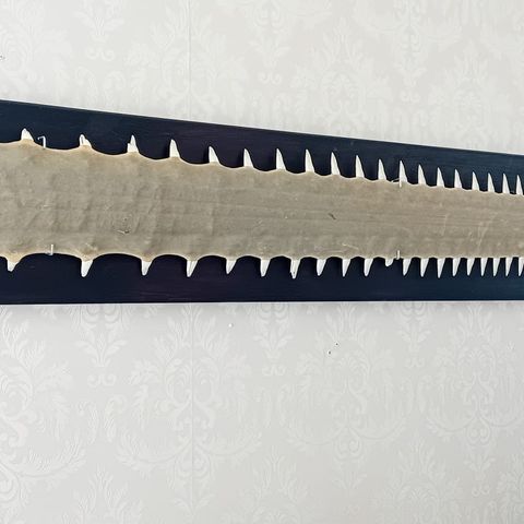 Sagskate tenner. Sawfish(Rostrum)