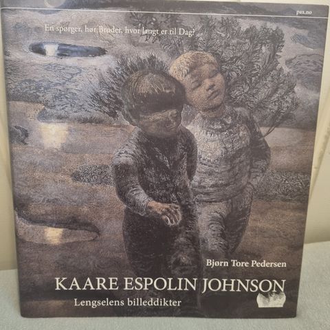 Kaare Espolin Johnson