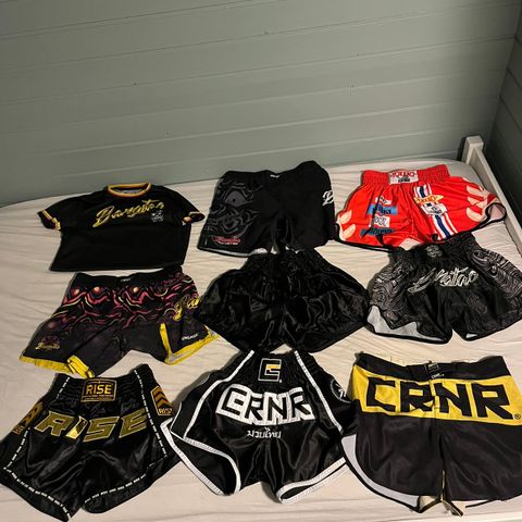 Shorts / t-skjorte mma / muay thai