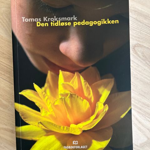 Den Tidløse Pedagogikken