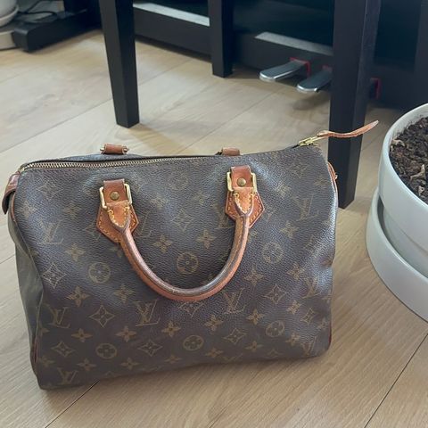 Louis Vuitton speedy 30