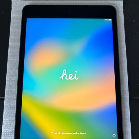 iPad Mini 5 64gb Grå