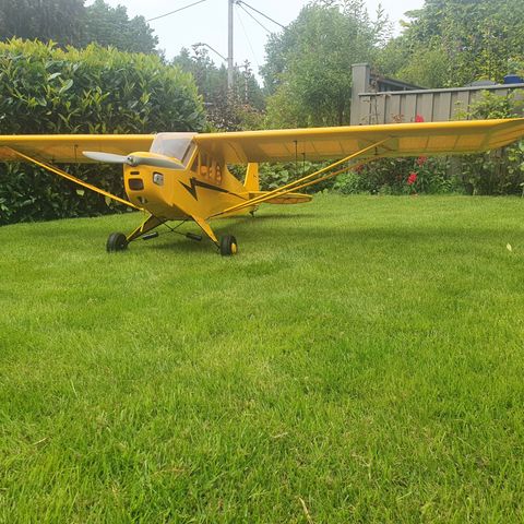 Modellfly. Piper Cub 1/4  skala