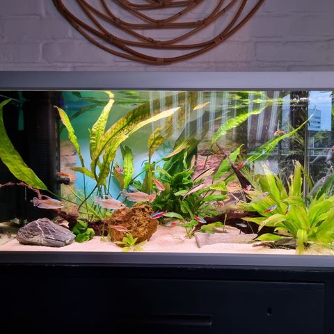 Akvarium 112 l Akvastabil Family