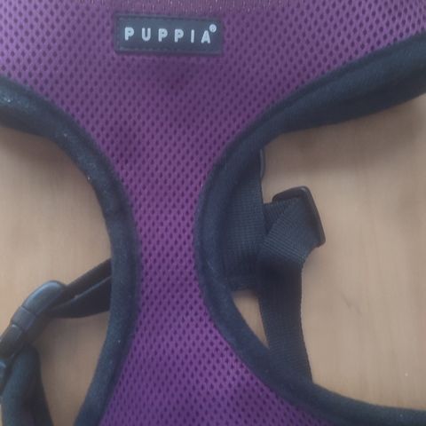 Puppia hundesele L