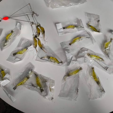 Fishing lures salt water