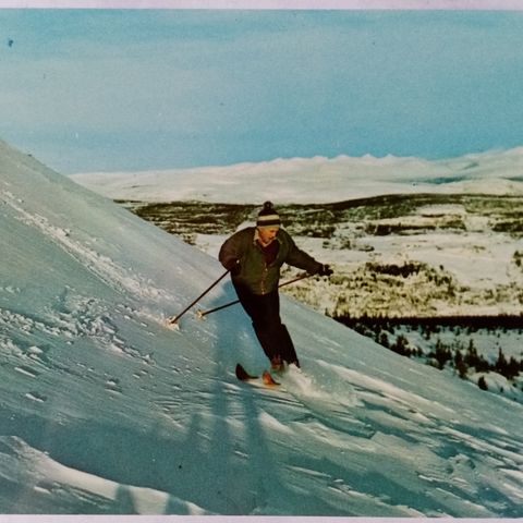 Fra Feforkampen, Vinstra st. Gudbrandsdalen