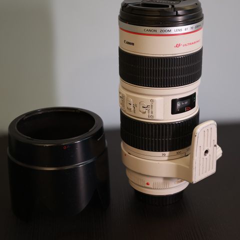 Canon EF 70-200 f2.8 IS USM