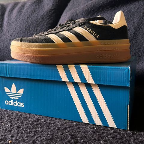 Adidas bold