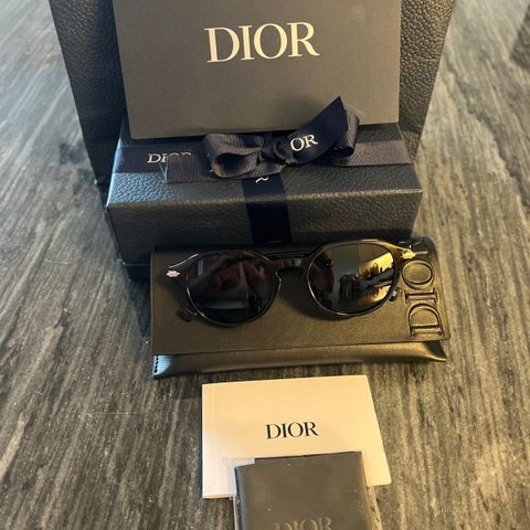 Dior Blacksuit R21 Sunglasses