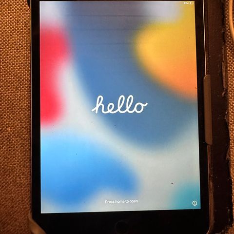 iPad Mini 4 (RESERVERT)