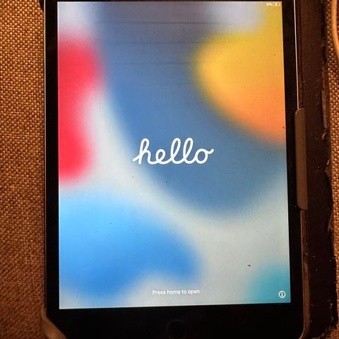 iPad Mini 4