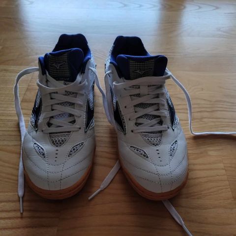 Mizuno Wave Drive Bordtennis sko. str 39