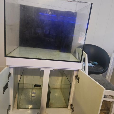 Saltvann akvarium ca 288 liter + sump