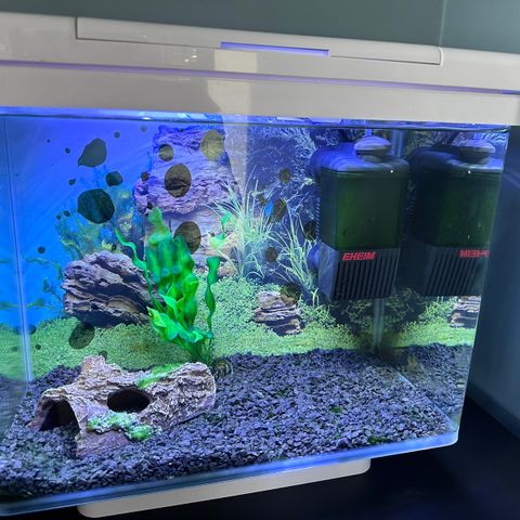 Juwel Vision 30 l akvarium