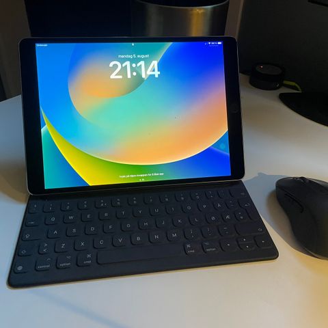 Ipad Pro 256GB 4G med tastatur