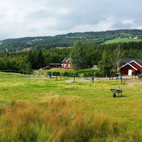 Stallplass til leie Kanthaugen, Lillehammer