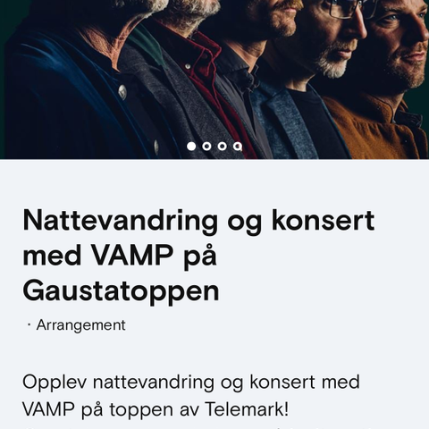 Vamp på Gaustadtoppen