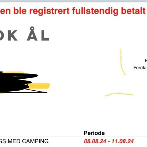 Huckfest 2024 - 2 stk billetter - Med camping