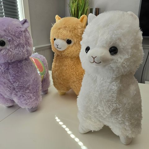 Alpacasso amuse llama, alpacca Bamse - Genuine fra Japan