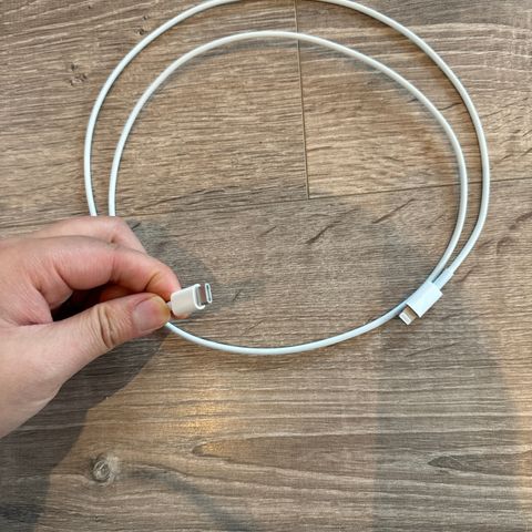 iPhone cable