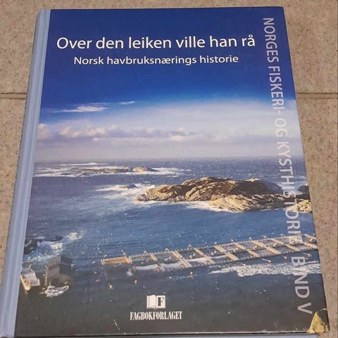 Annonsebilde