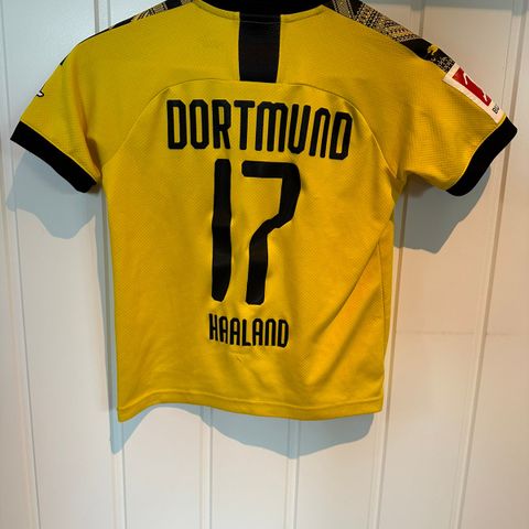 Dortmund drakt - Haaland