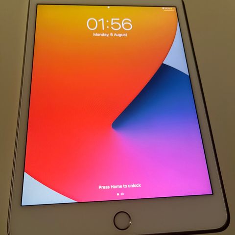 iPad mini 5 (64 gb)