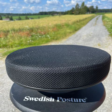 Swedish Posture ergonomisk balansepute