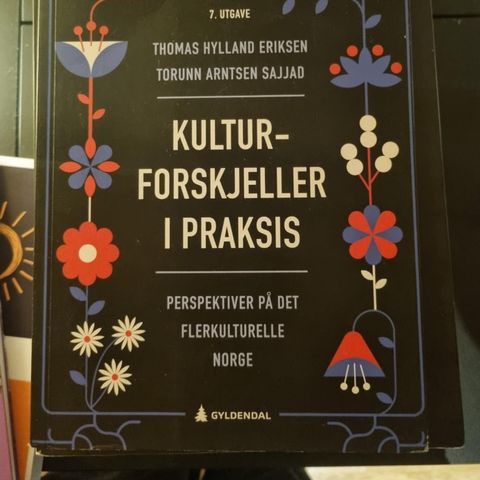 Kultur forskjeller i praksis perspektivet på det flerkulturelle Norge