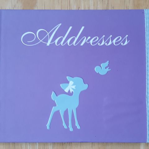 Address book & Dates to Remember book ( 2-in-1) - Ny Innb