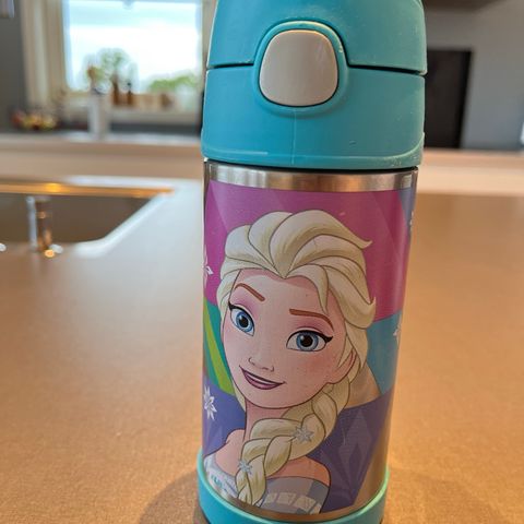 Thermos Funtainer Frost