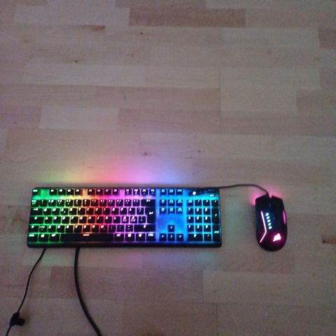 SteelSeries tastatur og corsair mus