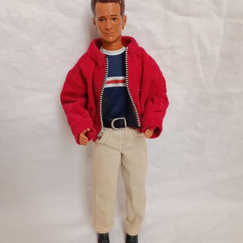 Vintage Beverly Hills Dylan McKay dukke