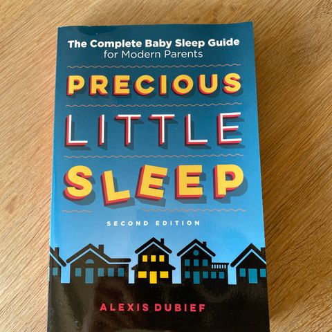 Precious Little Sleep av Alexis Dubief