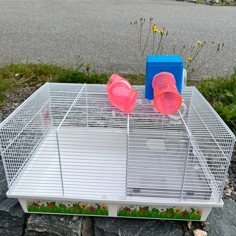 Hamsterbrur