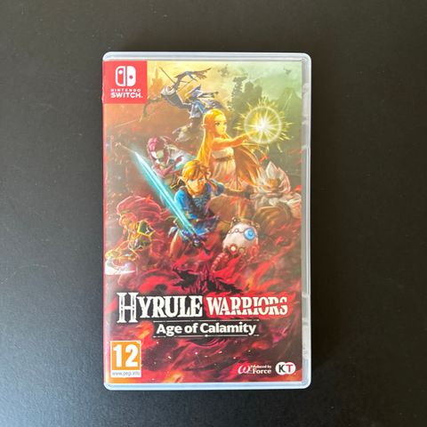 Hyrule Warriors - Age of Calamity