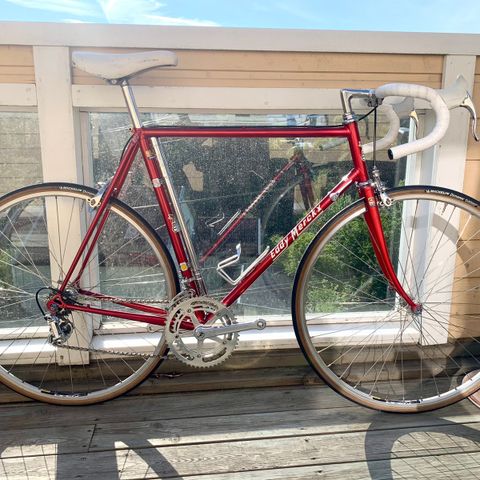 Vintage Eddy Merckx Professional 1983