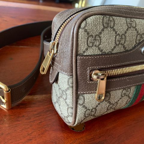 Gucci Ophidia Belt Bag