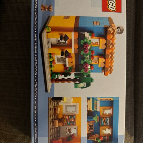 Lego 40583 House of the world 1