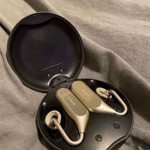 Sony Ear Duo