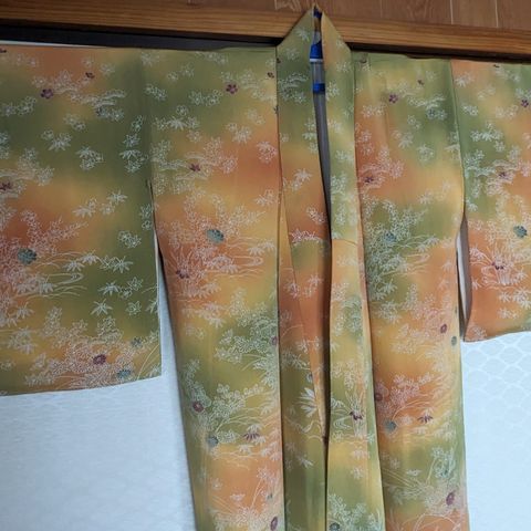 Nydelig japansk kimono