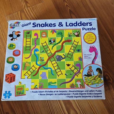 Giant snakes and ladders floor puzzle game