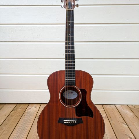 Taylor GS Mini